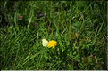 D3C_6050_009