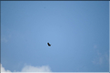 D3C_6051_010
