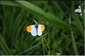 D3C_6069_012