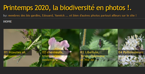 bio gardins !!! montrez nous la nature que vous voyez durant le confinement